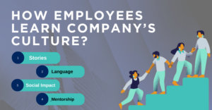 How Employees Learn Company Culture | 12 Effective Ways